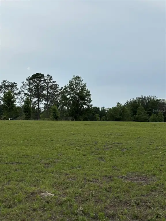 Picture 10