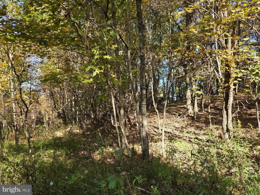 Picture 18