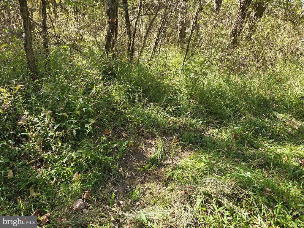 Picture 19