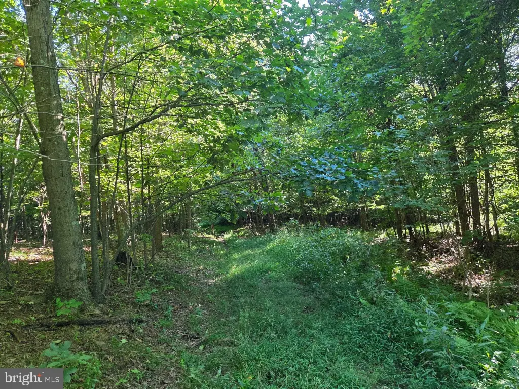 Picture 8