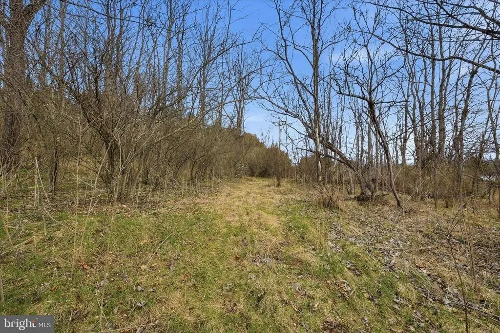 Picture 30