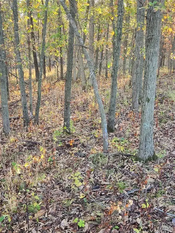 Picture 8