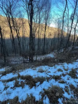 Land in Wolf Laurel Community