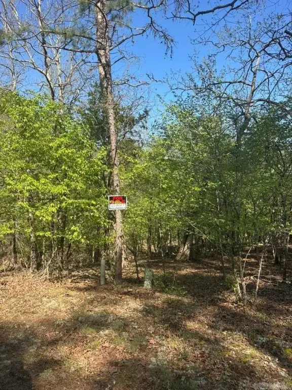 Picture 2