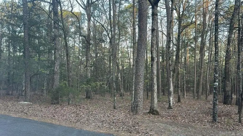 Picture 2