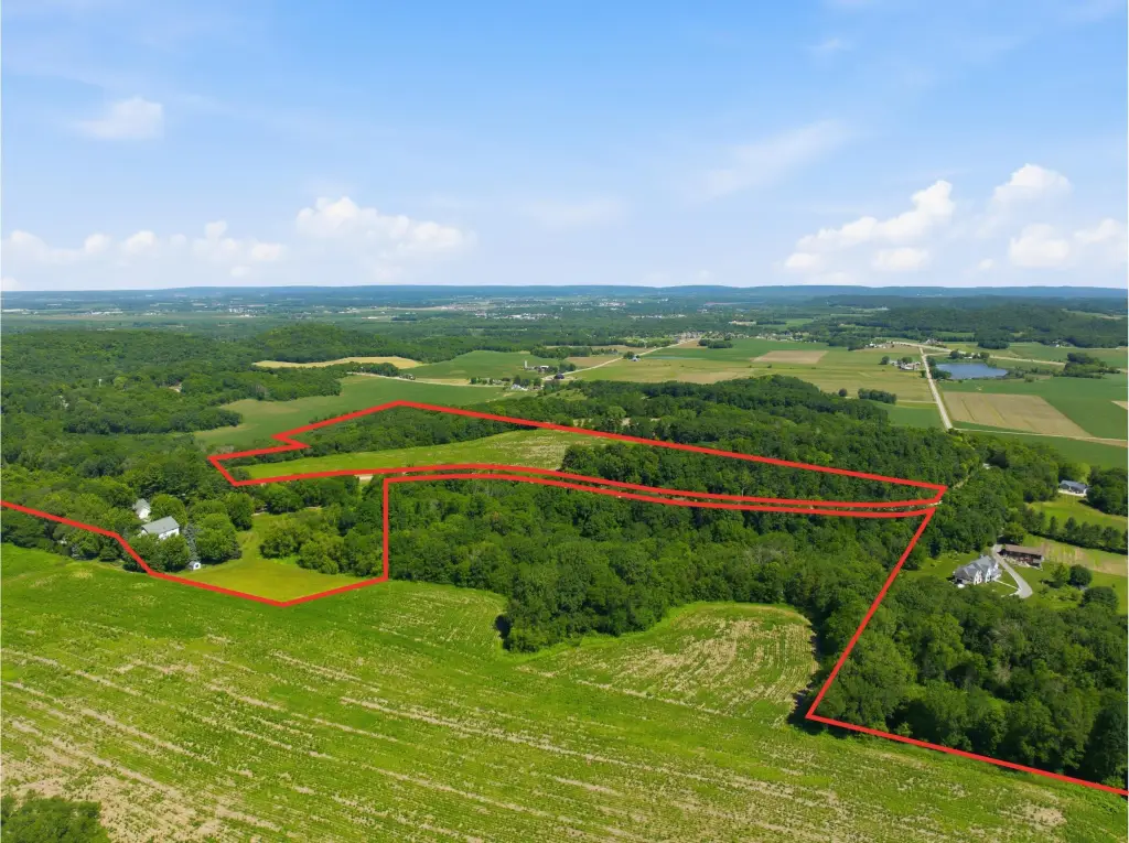 Picture 12
