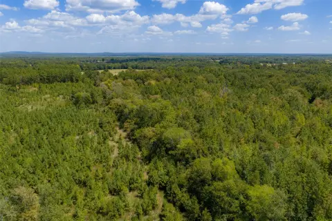 Wooded East Texas Land