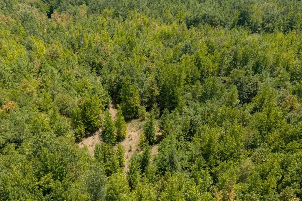 Picture 23