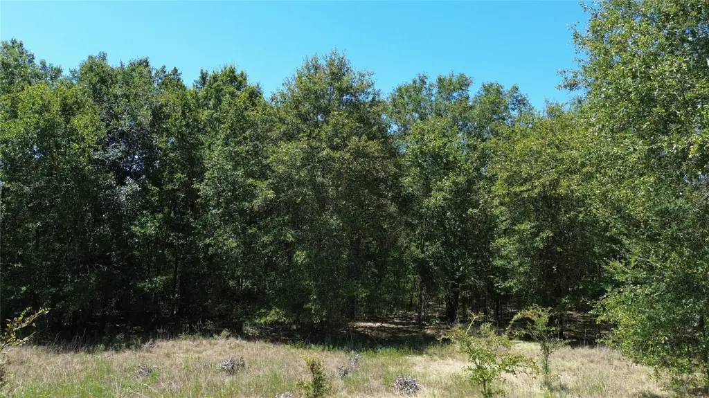 Picture 28