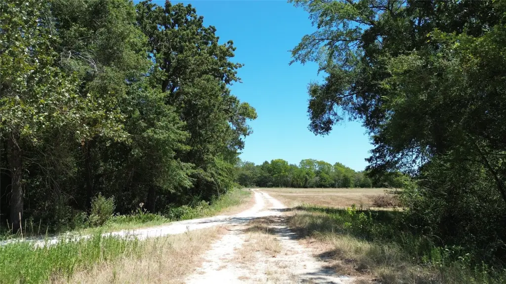 Picture 26