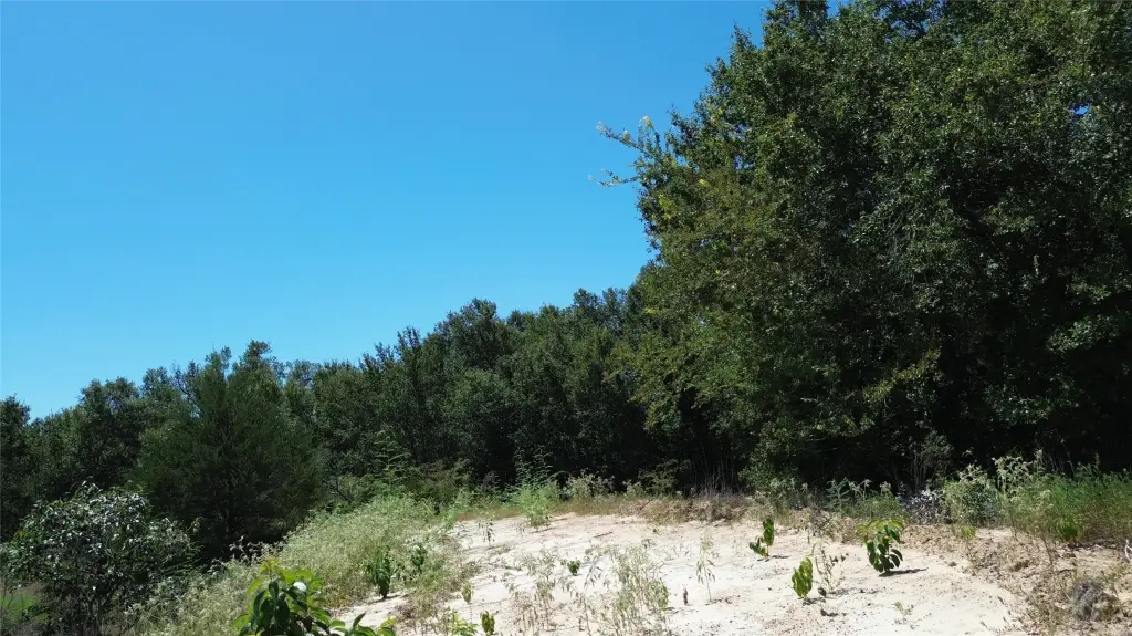 Picture 30