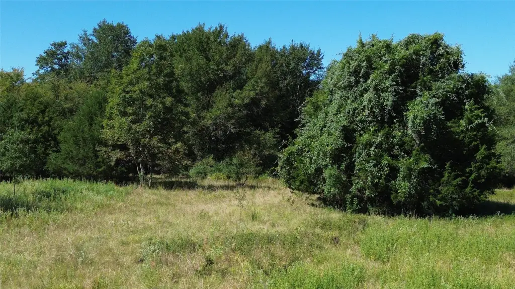 Picture 18