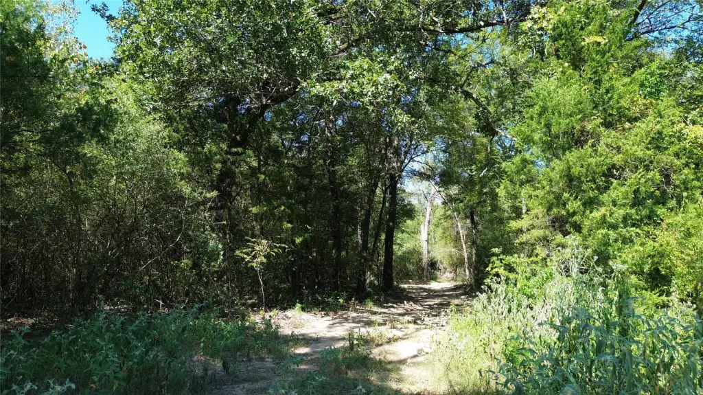 Picture 20