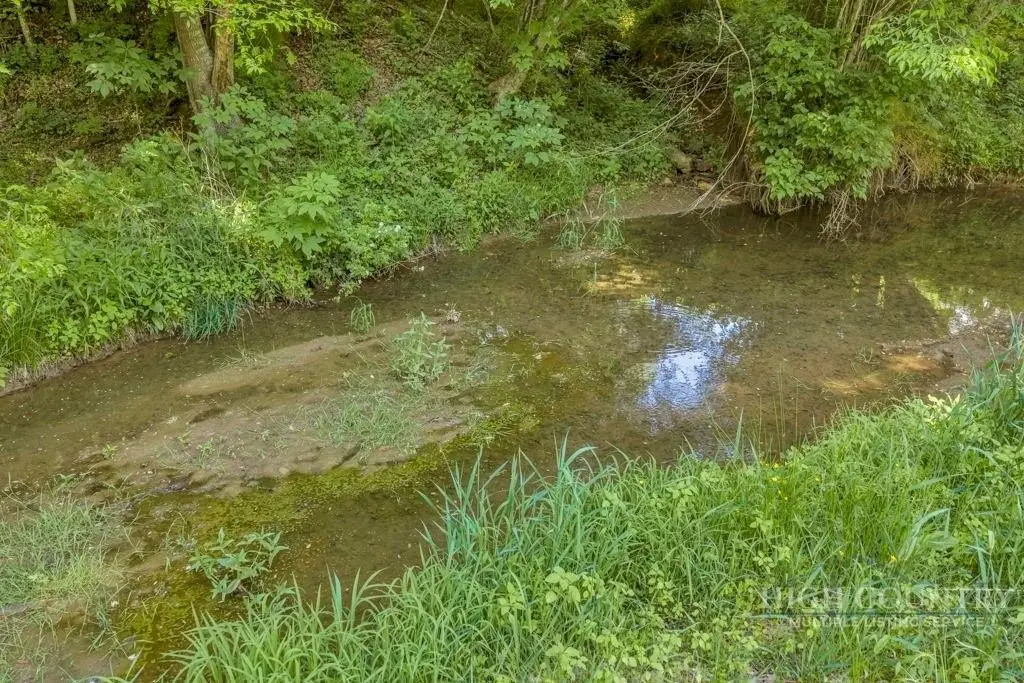 Picture 11