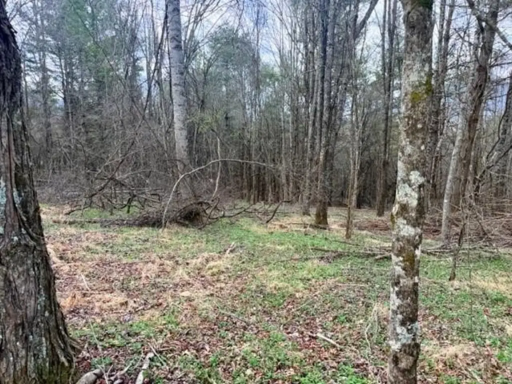 Picture 7