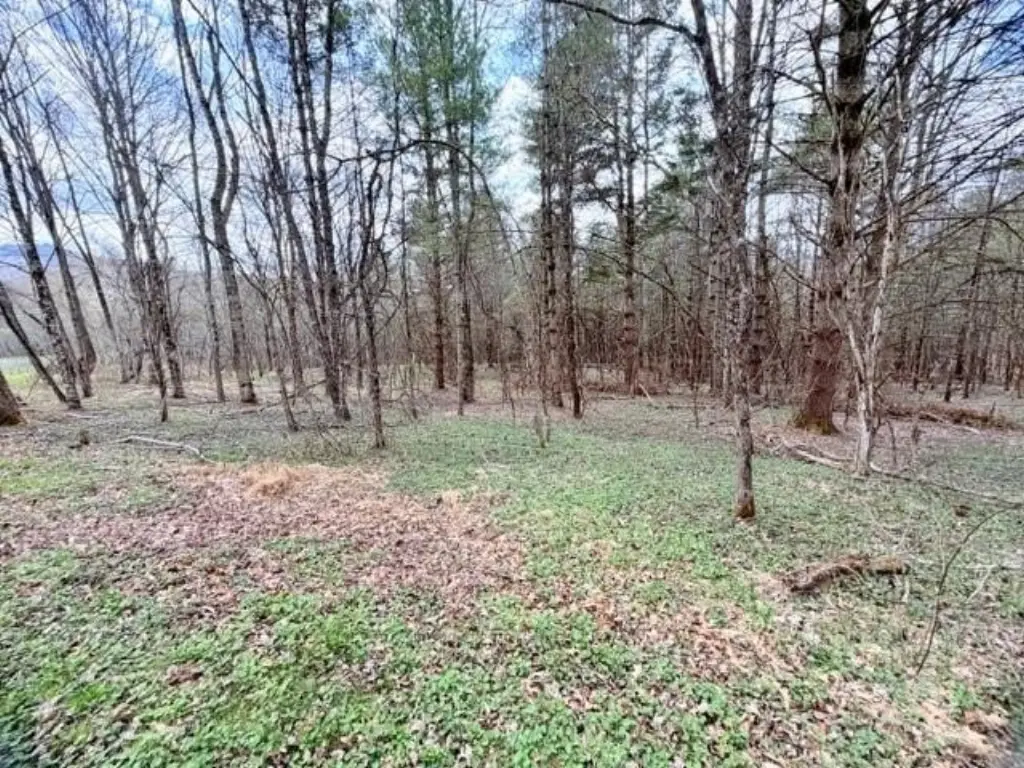 Picture 11