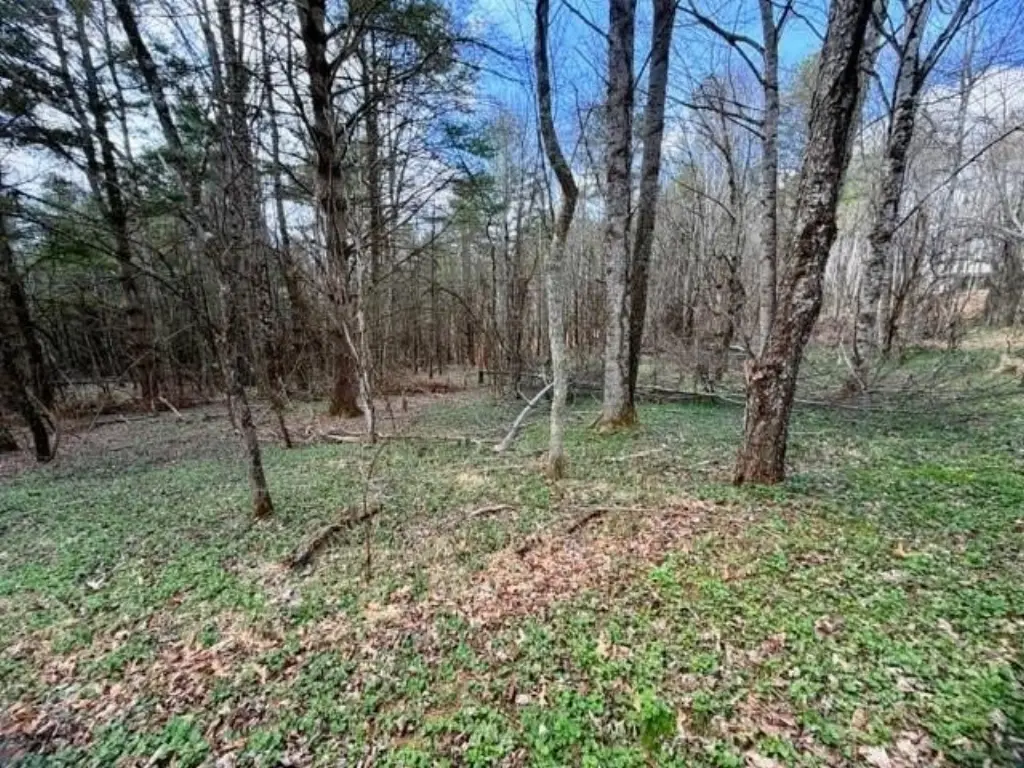 Picture 10