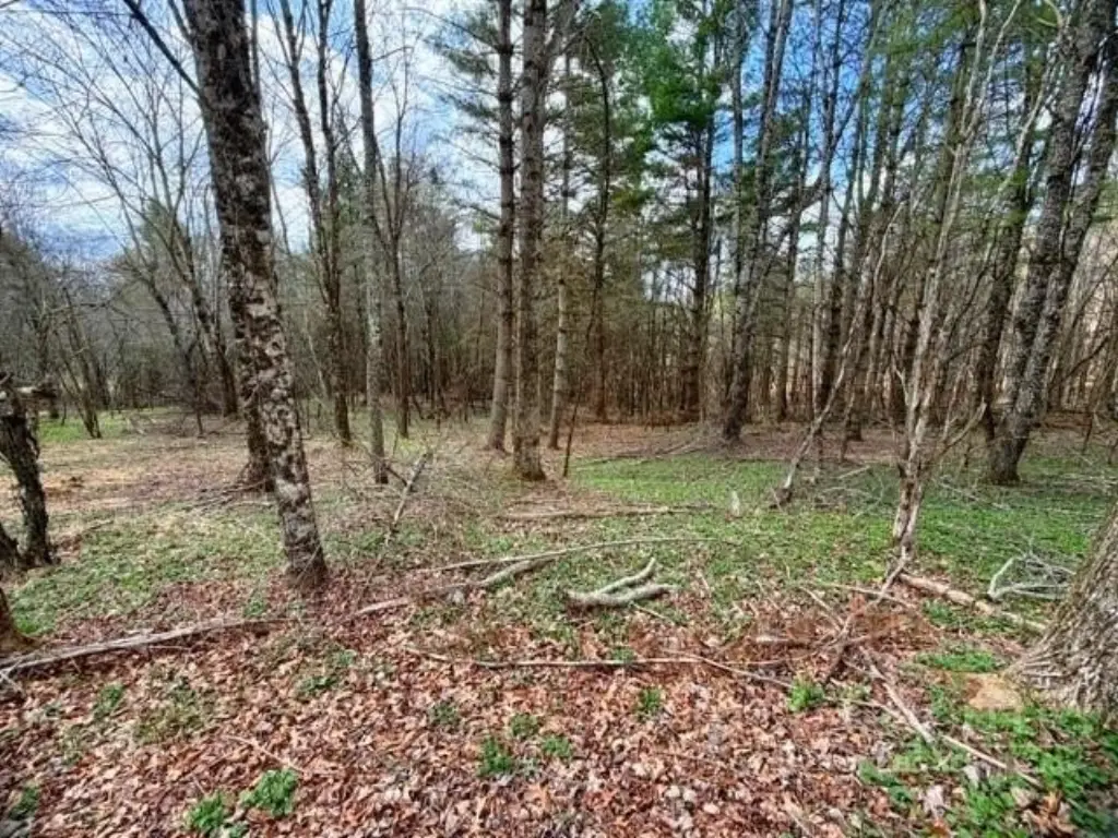 Picture 9