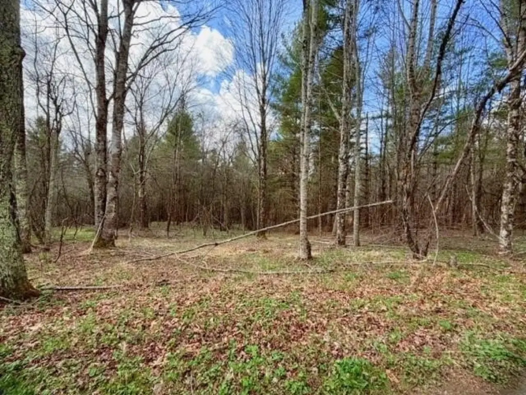 Picture 7