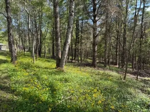 Level Wooded Lot in Creston
