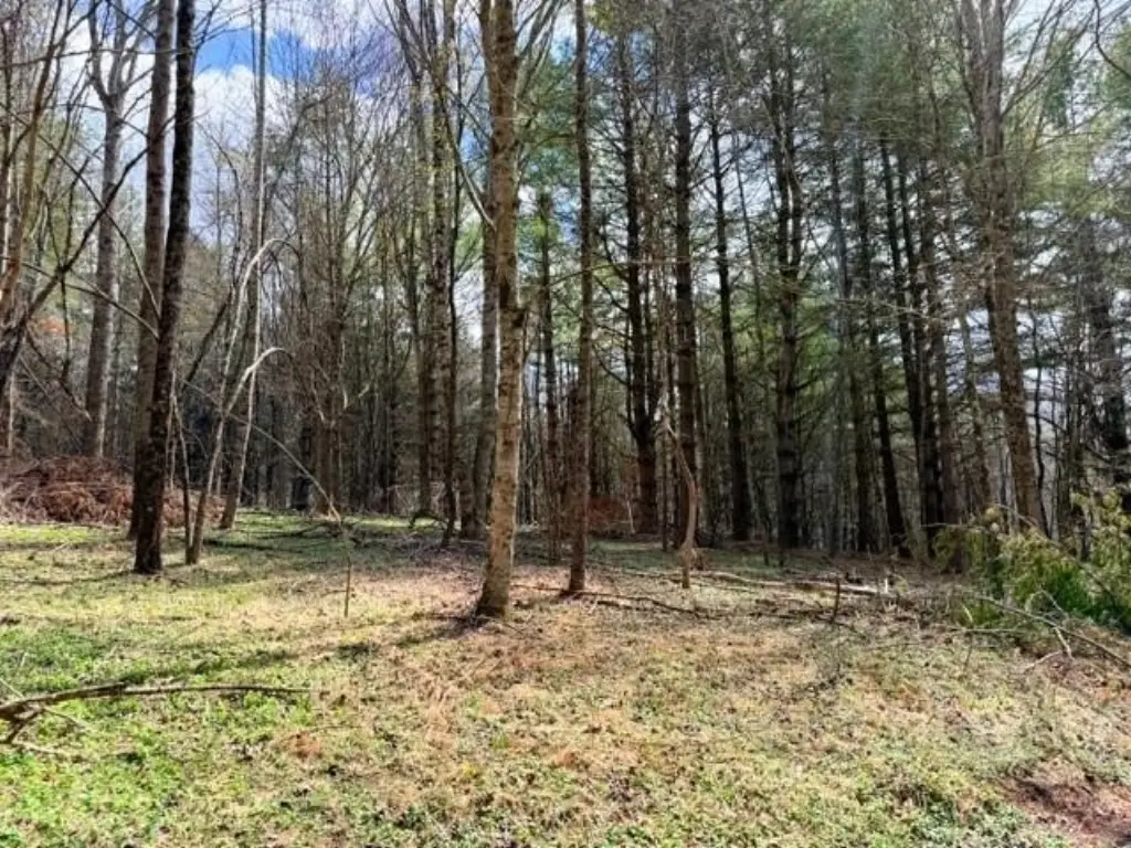 Picture 11
