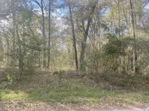 Residential Lot in Kingstree, SC