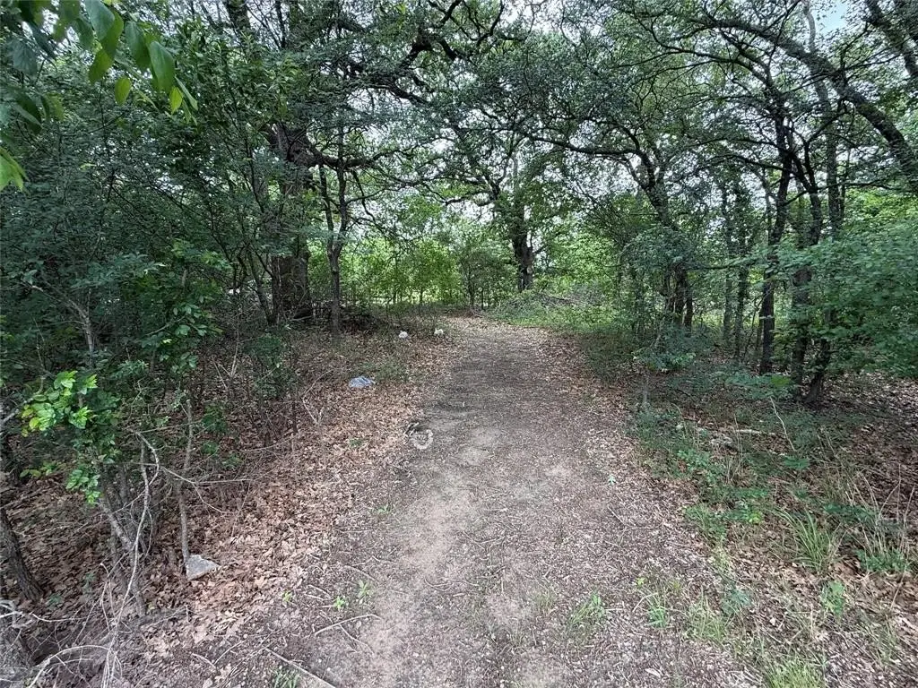 Picture 22