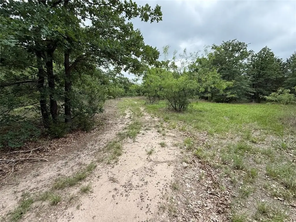 Picture 15