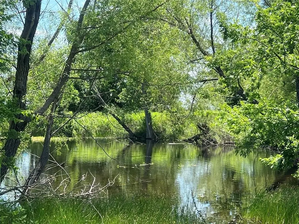 Picture 16