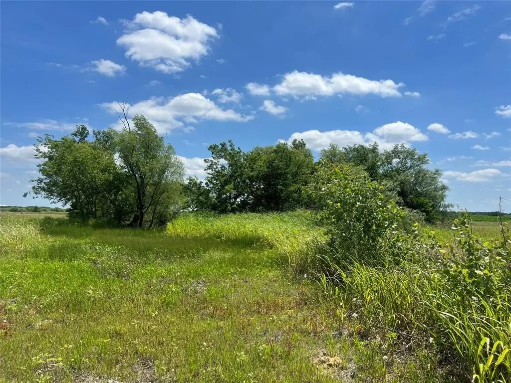 Picture 19