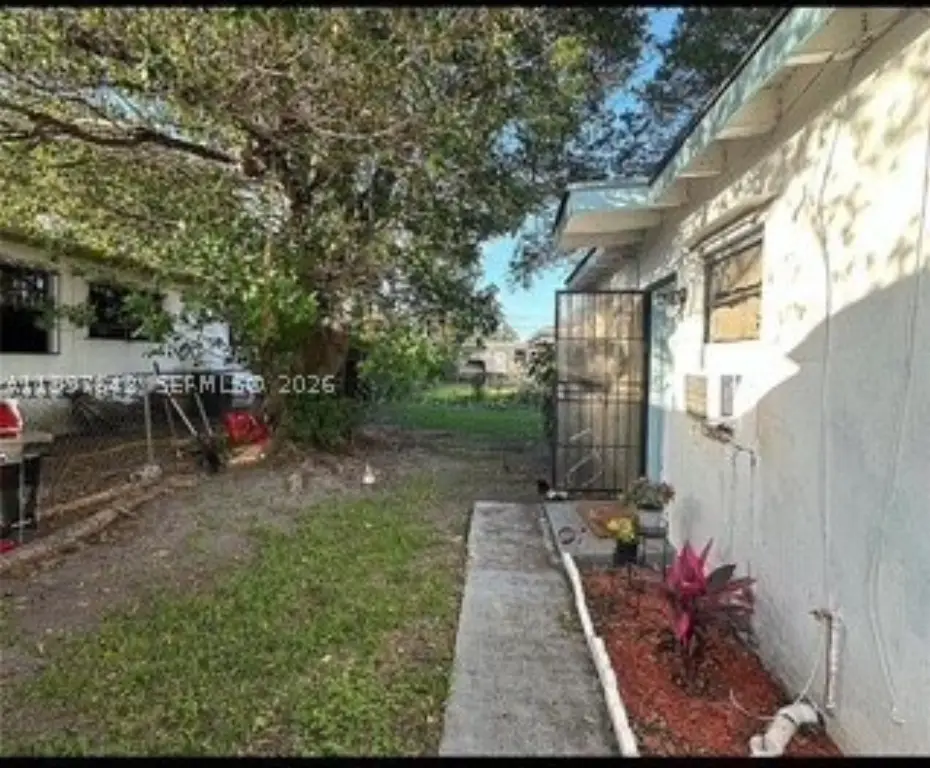 Picture 4