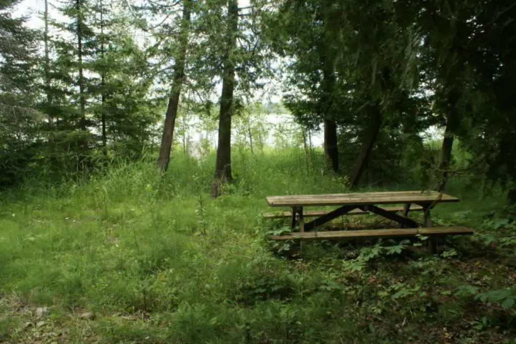 Picture 5