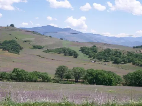 Ashland View Property with Creek