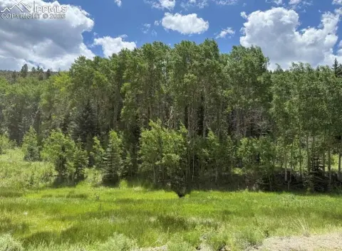 Westcliffe, CO Land For Sale