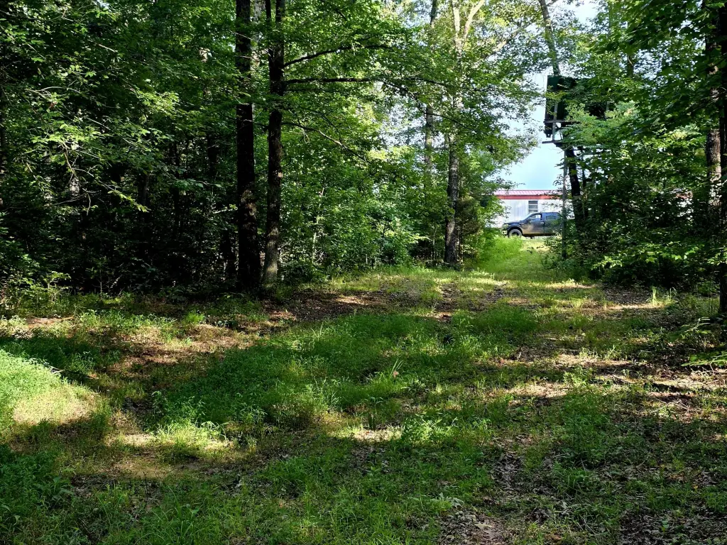 Picture 9