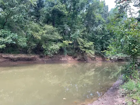 Recreational Lot Near Beason Creek