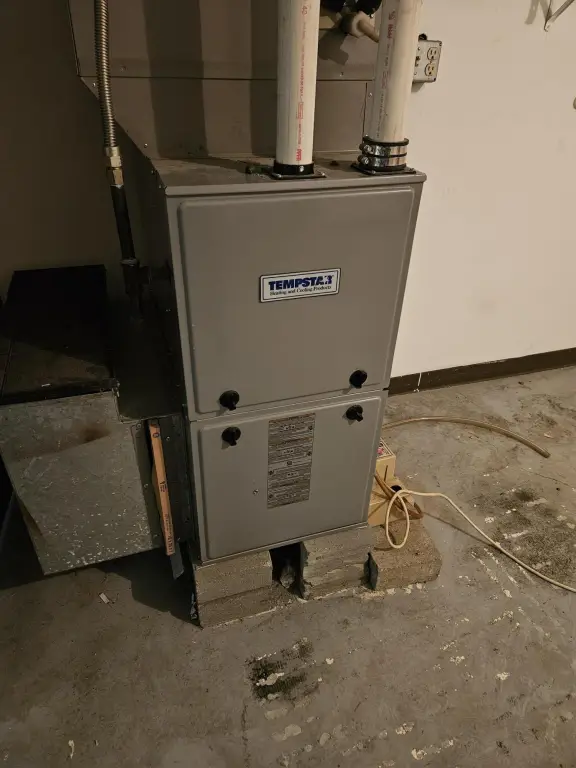 Picture 11