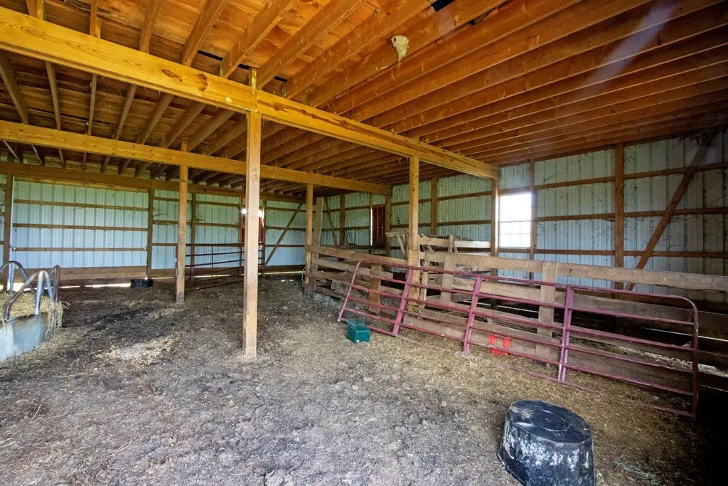 Picture 6