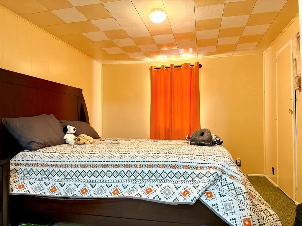 Picture 31