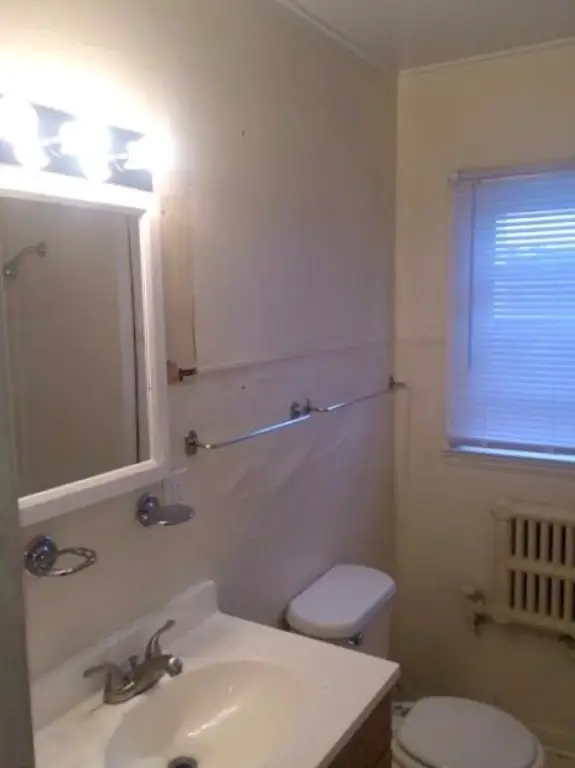 Picture 42