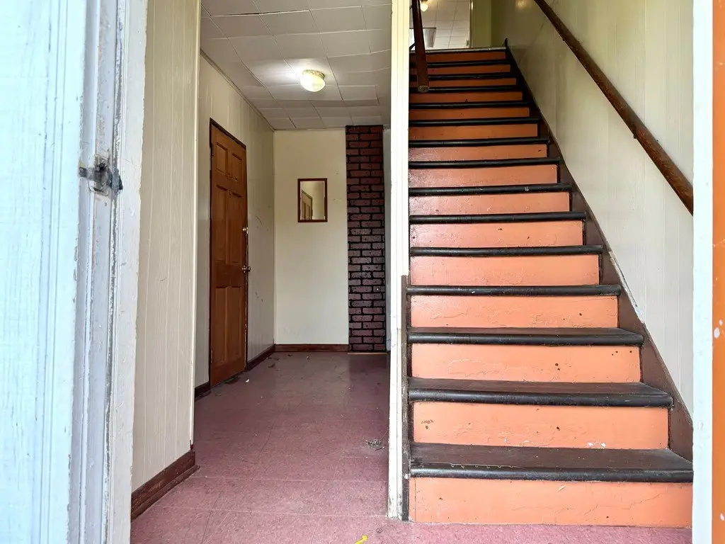 Picture 5