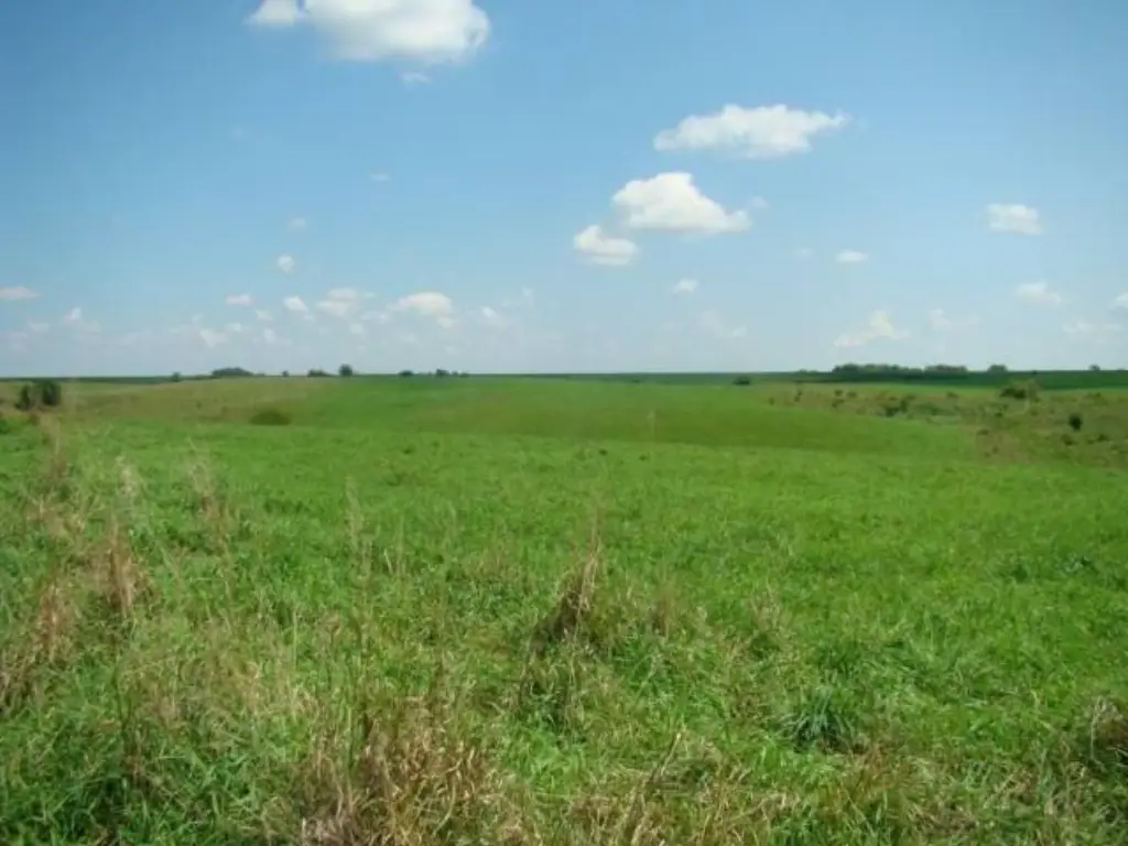 Picture 27