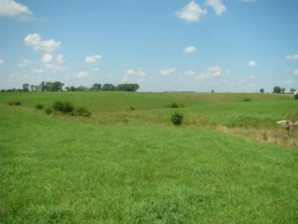 Picture 30