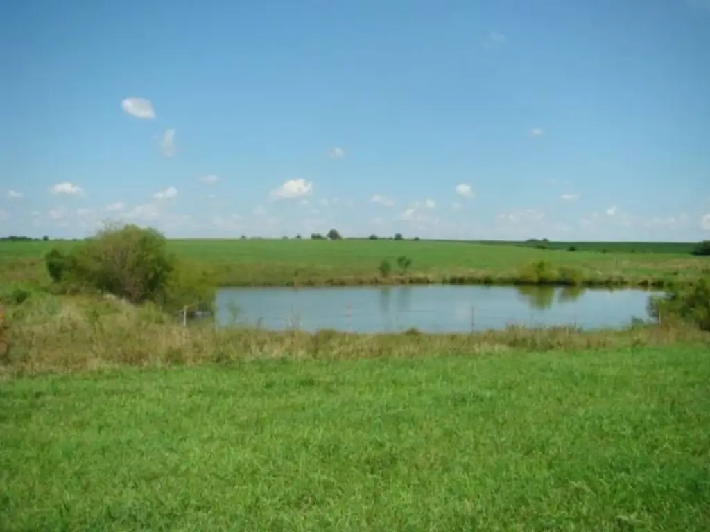 Picture 29
