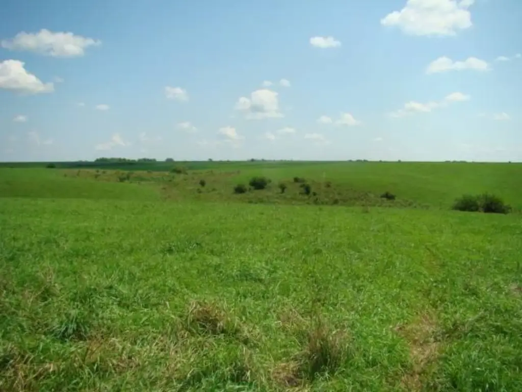 Picture 28