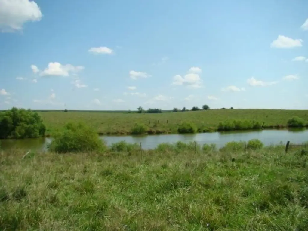 Picture 23