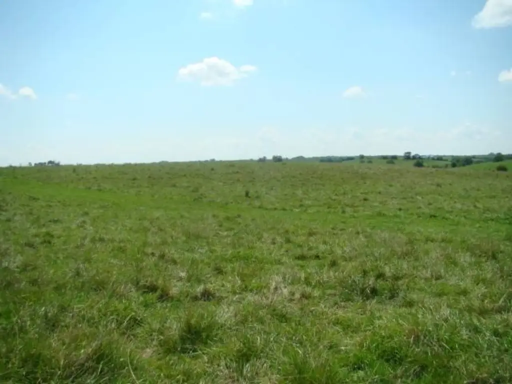 Picture 32