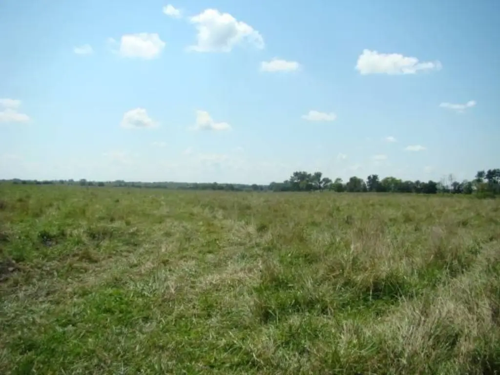 Picture 20