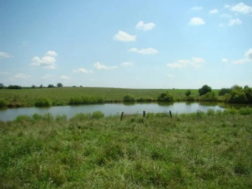 Picture 24