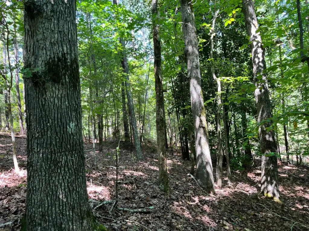 Picture 15